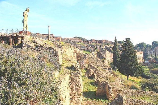 pompeii-and-herculaneum-private-tour-with-native-guide-and-skip-the-line-tickets