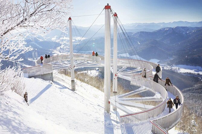 powder-belt-pass-5-days-ticket-brush-dyeing-experience