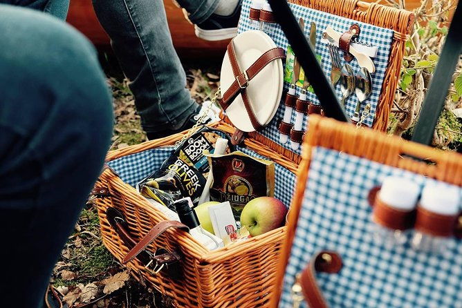 premium-guided-canoe-tour-in-lake-plateliai-handcrafted-inventory-and-picnic-set