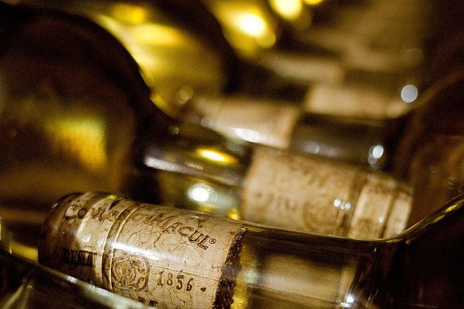 premium-wine-tour-vina-cousino-macul-official-portuguese