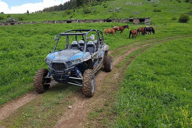 private-1-hour-quad-or-buggy-safari-in-borovets
