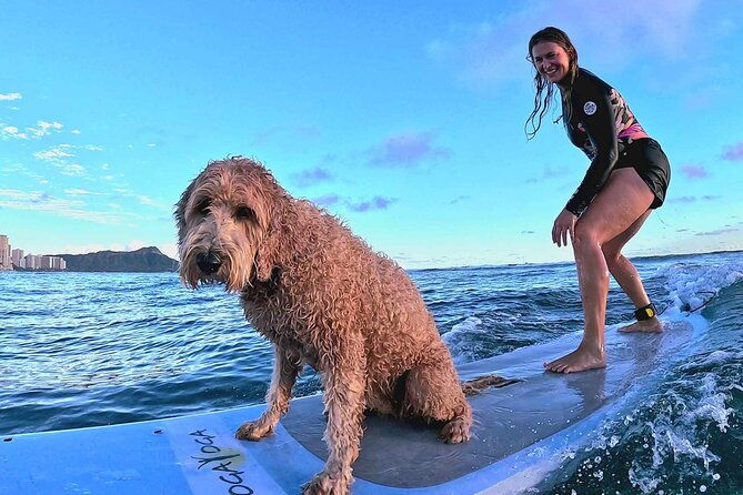 private-1-on-1-surf-lesson-with-videos-and-photos