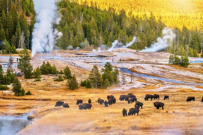 private-2-day-yellowstone-tour-upper-and-lower-loop