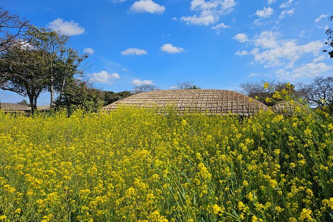 private-2days-tour-a-lot-of-experience-driver-in-jeju-island-2
