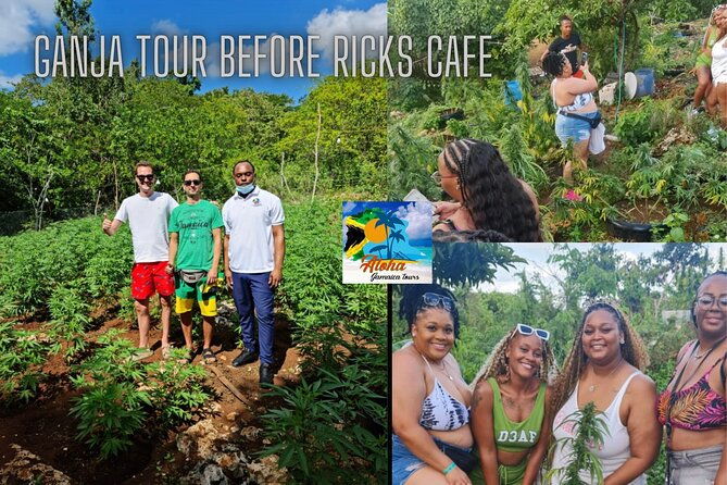 private-3-5h-natural-herbs-tour-shopping-dinner-at-ricks-cafe