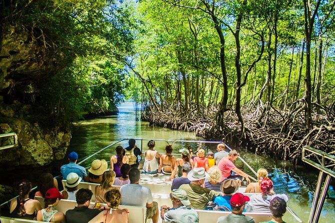 private-3in1-los-haitises-national-park-y-waterfall-mount-redonda