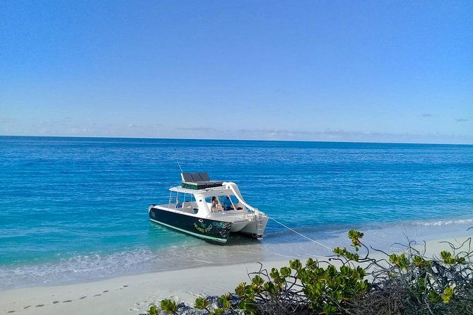 private-4-hour-power-catamaran-excursion-in-grace-bay