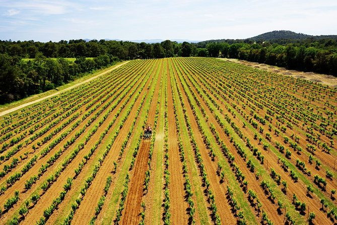 private-4x4-ride-in-a-wine-estate-followed-by-a-tasting