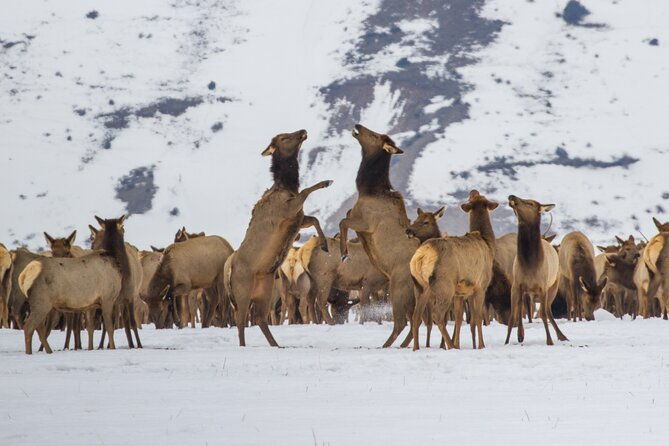 private-8-hour-grand-teton-adventure