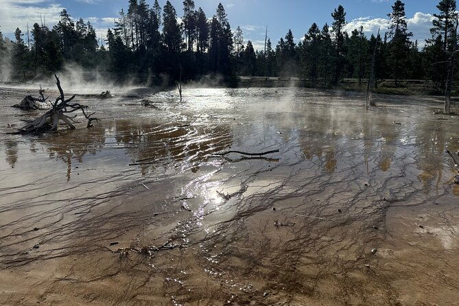 private-all-inclusive-yellowstone-lower-loopthe-volcano-tours-2