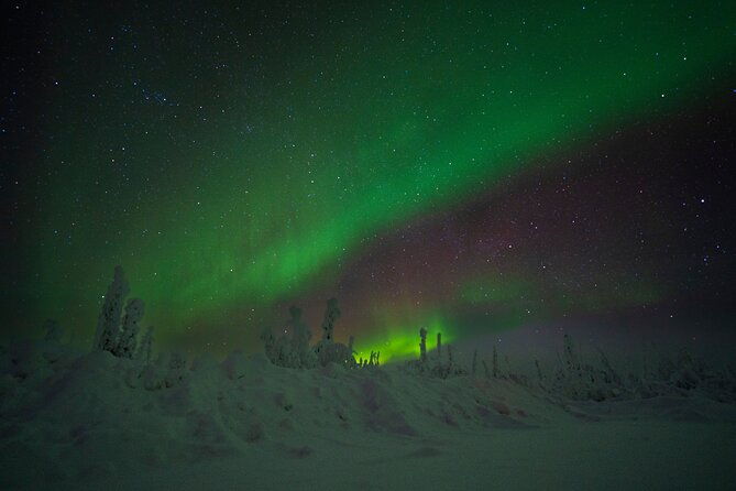 private-arctic-circle-expedition-from-fairbanks