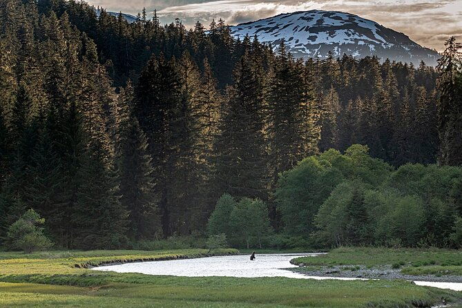 private-bear-viewing-by-seaplane