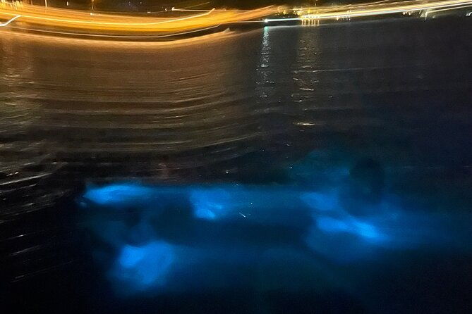 private-bioluminescence-tour