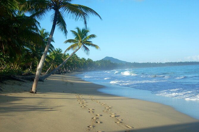 private-boat-nature-tour-of-limon-beach-and-lagoon