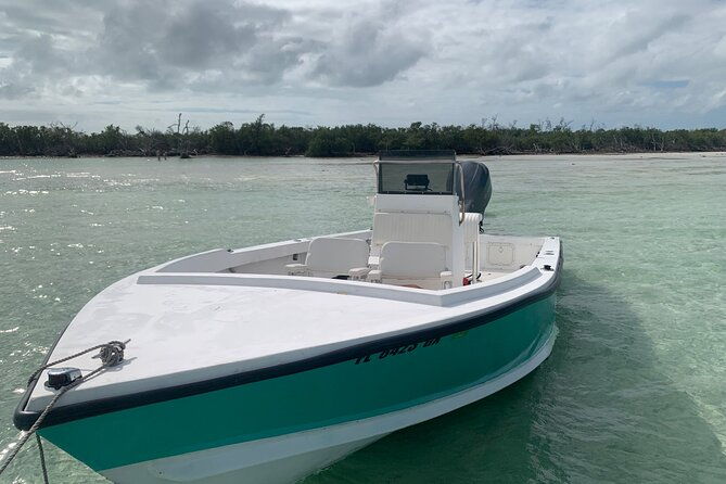 private-boat-tour-to-sand-bar-snorkel-dolphins-and-sunset