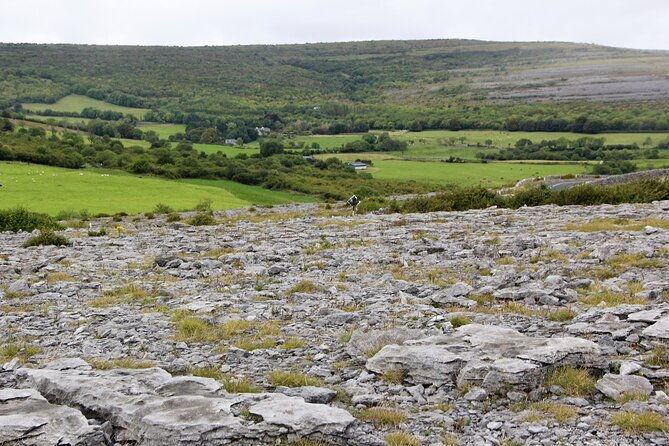 private-burren-and-cliffs-of-moher-full-day-tour-4