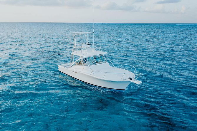 private-charter-34ft-express-cruiser-stingay-city-reef-snorkeling