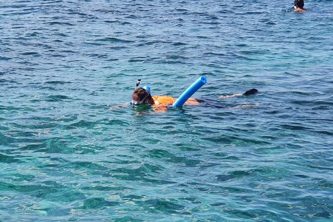 private-charter-for-snorkeling-swimming-pigs-turtles-fishing