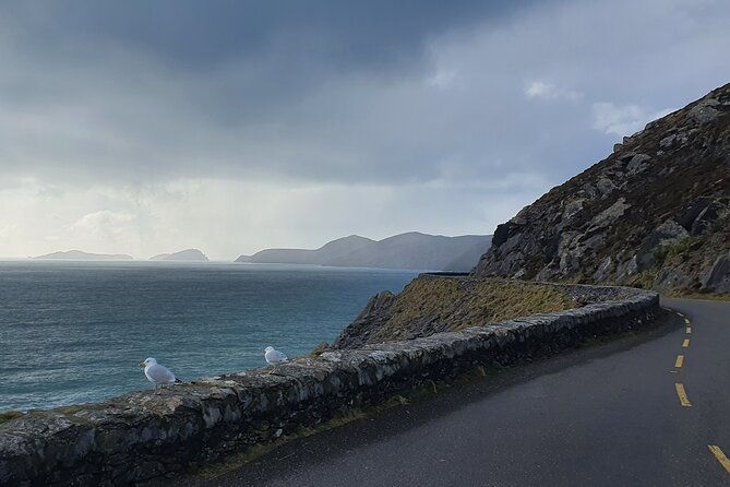 private-chauffeur-service-from-killarney-to-shannon-airport
