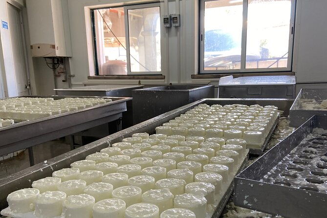 private-cheese-factory-visit-wine-tasting-tile-painting-tour-2