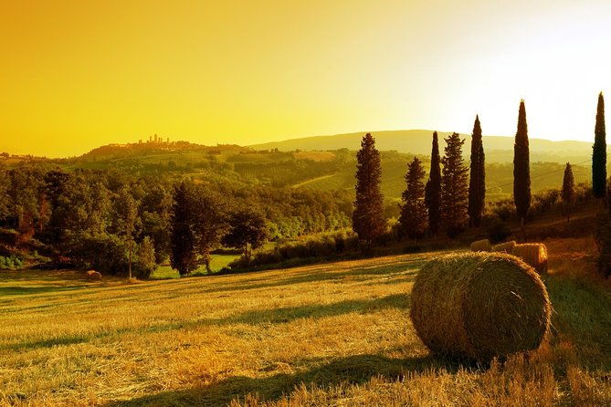 private-chianti-and-supertuscan-tour-2-wineries-with-light-lunch-from-livorno