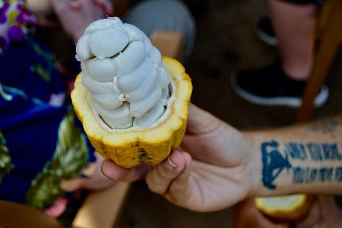 private-customized-oahu-full-day-tour