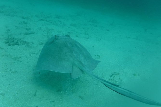 private-day-sail-snorkel-with-virgin-islands-day-sailing-6-guest-max