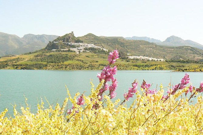 private-day-trip-from-cadiz-the-white-towns-of-andalusia