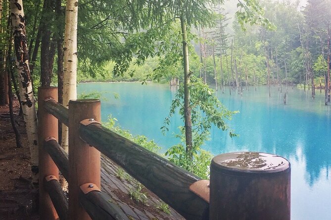 private-day-trip-to-asahiyama-zoo-and-biei-blue-pond