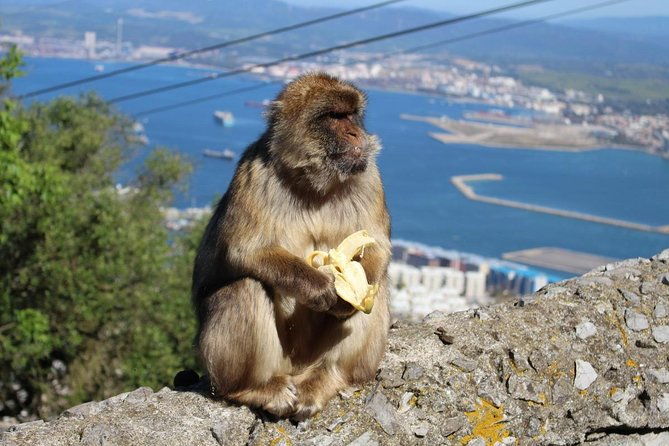 private-day-trip-to-gibraltar-from-malaga-or-marbella