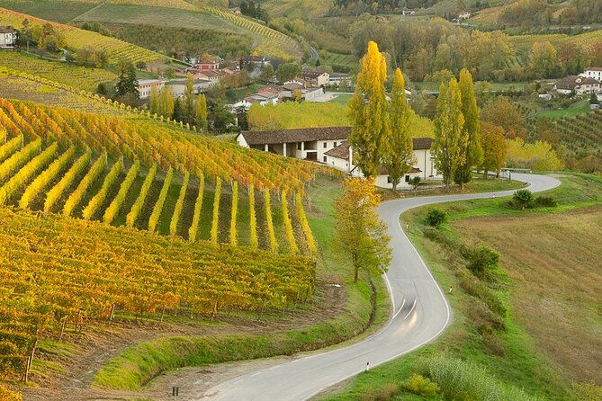 private-e-bike-tour-langhe-del-barbaresco-asphalt-only