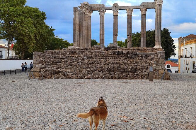 private-evora-tour-megaliths-historical-center-and-cork-region