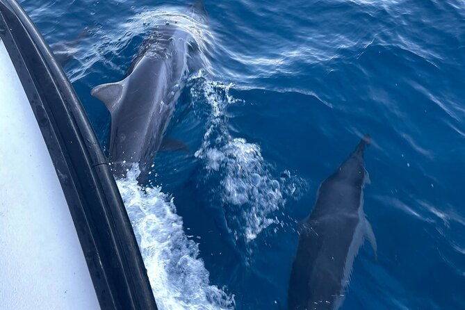 private-fishing-charter-for-family-and-friends-in-honolulu