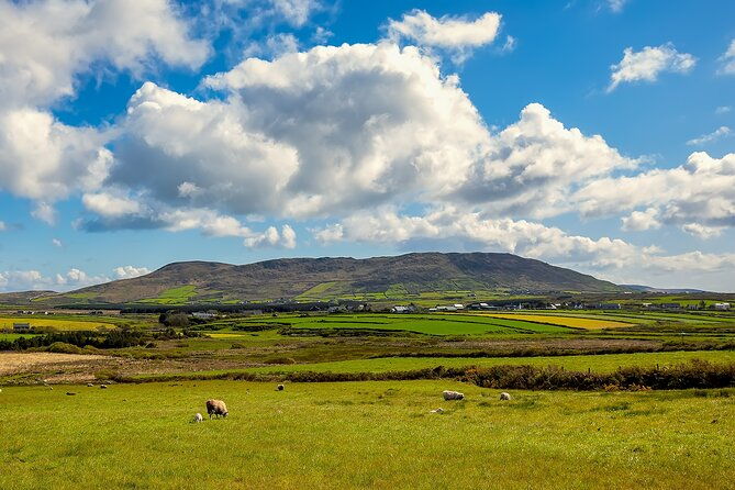private-full-day-dingle-peninsula-slea-head-drive-tour