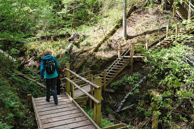 private-full-day-hiking-tour-in-sigulda-and-gauja-national-park