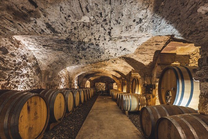 private-full-day-wine-tour-in-provence-from-toulon-cruise-port
