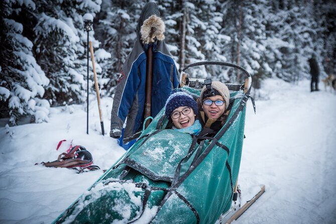 private-guided-dog-sledding-on-the-historic-yukon-quest-trail