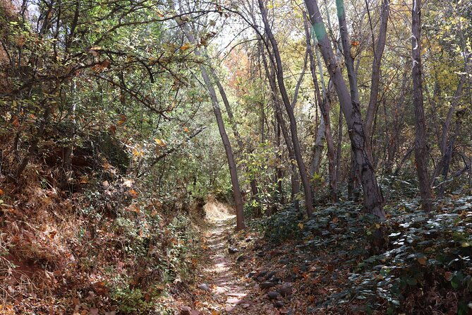 private-guided-hike-in-sedona-with-access-to-oak-creek