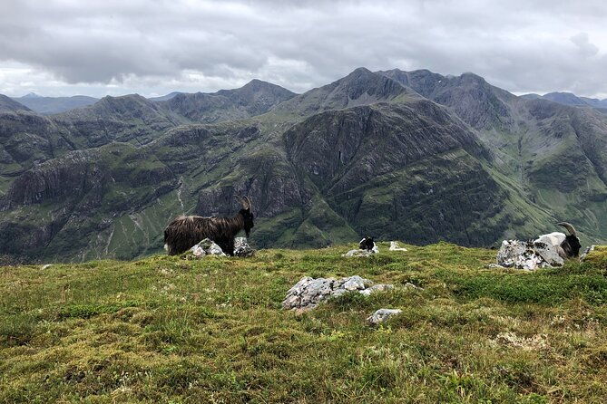 private-guided-mountain-walking-experience-in-the-cairngorms