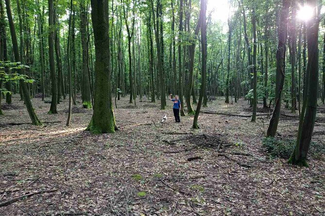 private-guided-truffle-hunting-tour-in-serbia-with-lunch