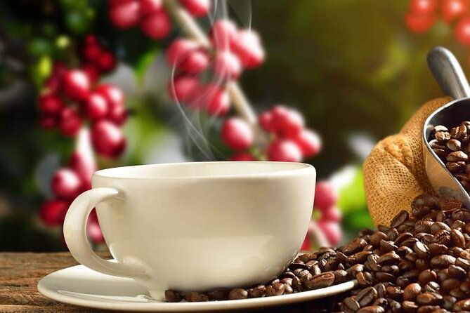 private-half-day-coffee-rum-tour-from-bogota