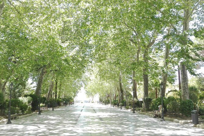 private-half-day-tour-of-ronda-and-the-white-villages-with-native