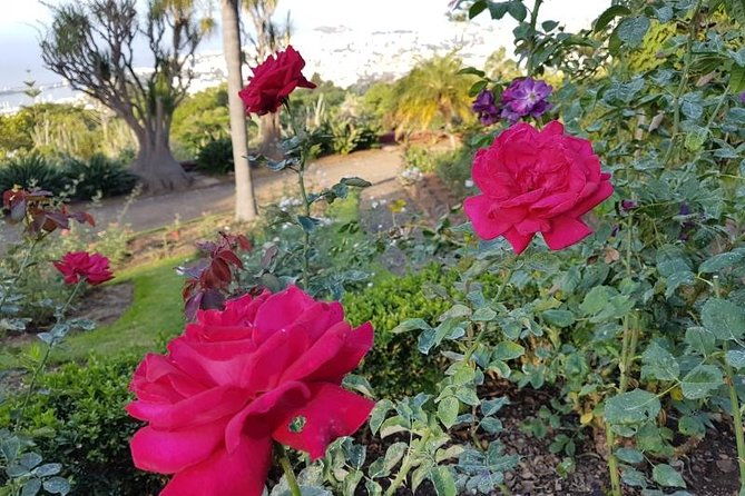private-halfday-madeira-garden-tour