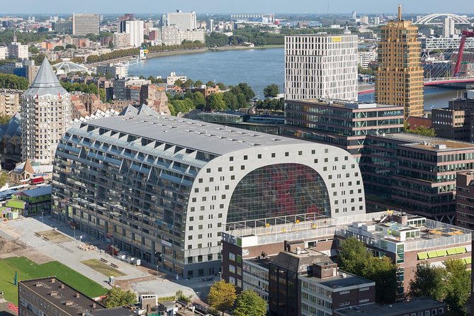 private-highlights-art-walking-tour-markthal-zadkine-street-art-and-depot
