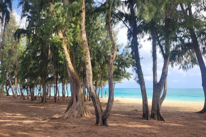 private-hiking-and-beaches-tour-in-kailua-town
