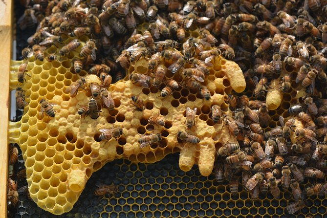 private-hive-tour