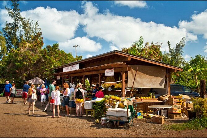 private-island-tour-up-to-24-people