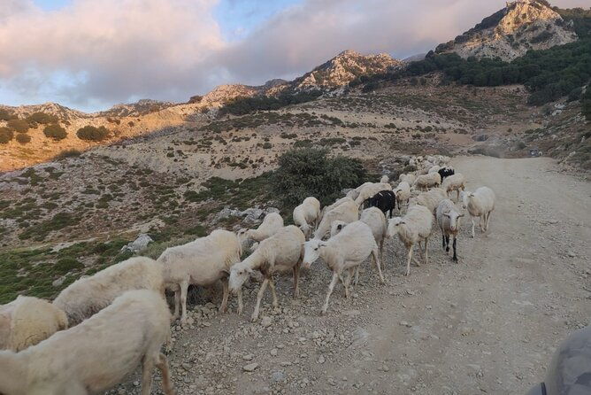 private-jeep-safari-4x4-sunset-with-dinner-in-mountains-crete