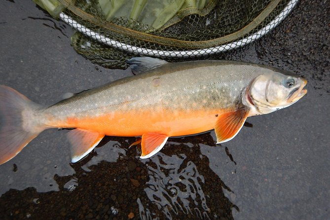 private-lake-and-river-fishing-tour-from-reykjavik
