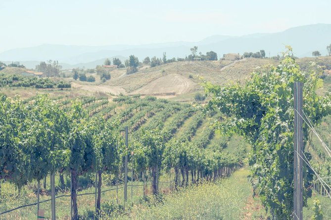 private-luxury-transportation-experience-temecula-valley